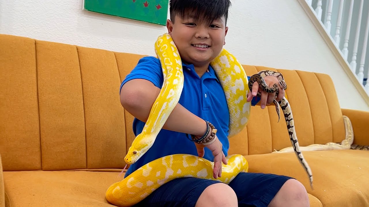 ⁣Alex and Eric Gets New Pet Animals | Learn About Wild Animal Reptiles