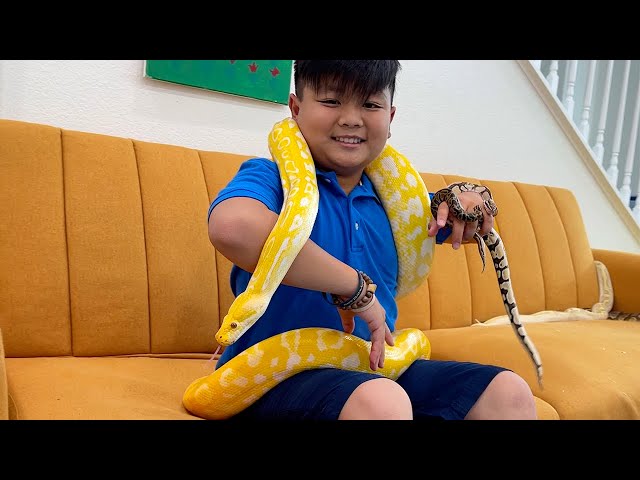 Alex and Eric Gets New Pet Animals | Learn About Wild Animal Reptiles class=