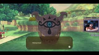 fly with me (PART 8) [Zelda: Skyward Sword HD]