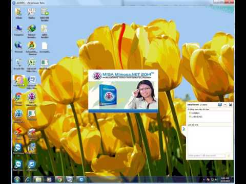 Collation Data SQL Video