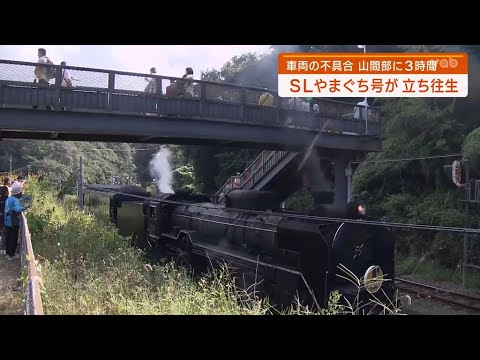 やまきち　2点目 カメキチ@Ninja1000SX on X