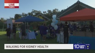 Stepping toward a healthier future: 2025 Tampa Bay Kidney Walk