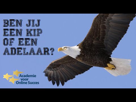 Ben jij een kip of een adelaar