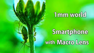 1 Mm World Filmed With Smartphone