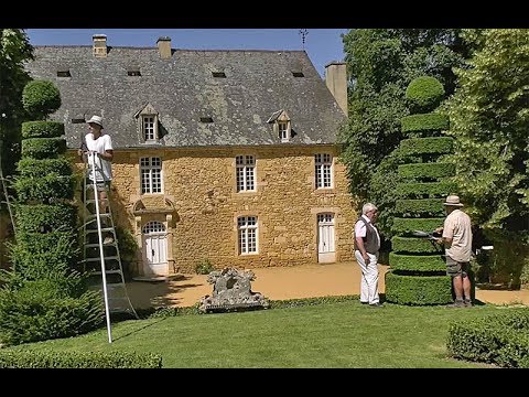 Vidéo: Topiaire - Coupe De Cheveux Bouclés De Plantes