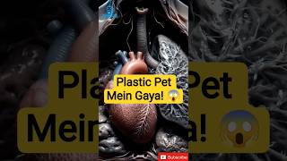 Plastic Khane Se Kya Hoga? | Plastic Health Effects on Human Body (Hindi)