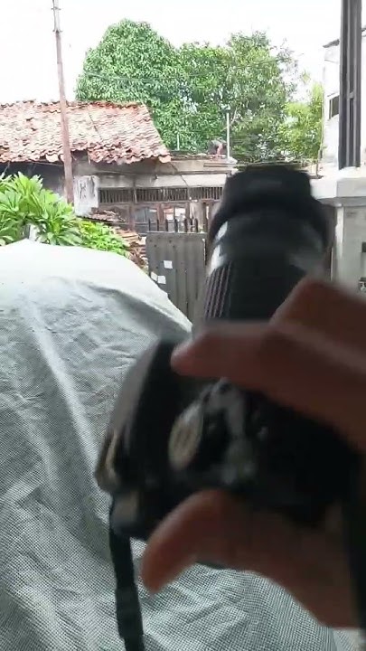 Canon Tele 75 - 300 mm Bokeh #potography #canon #lens - YouTube