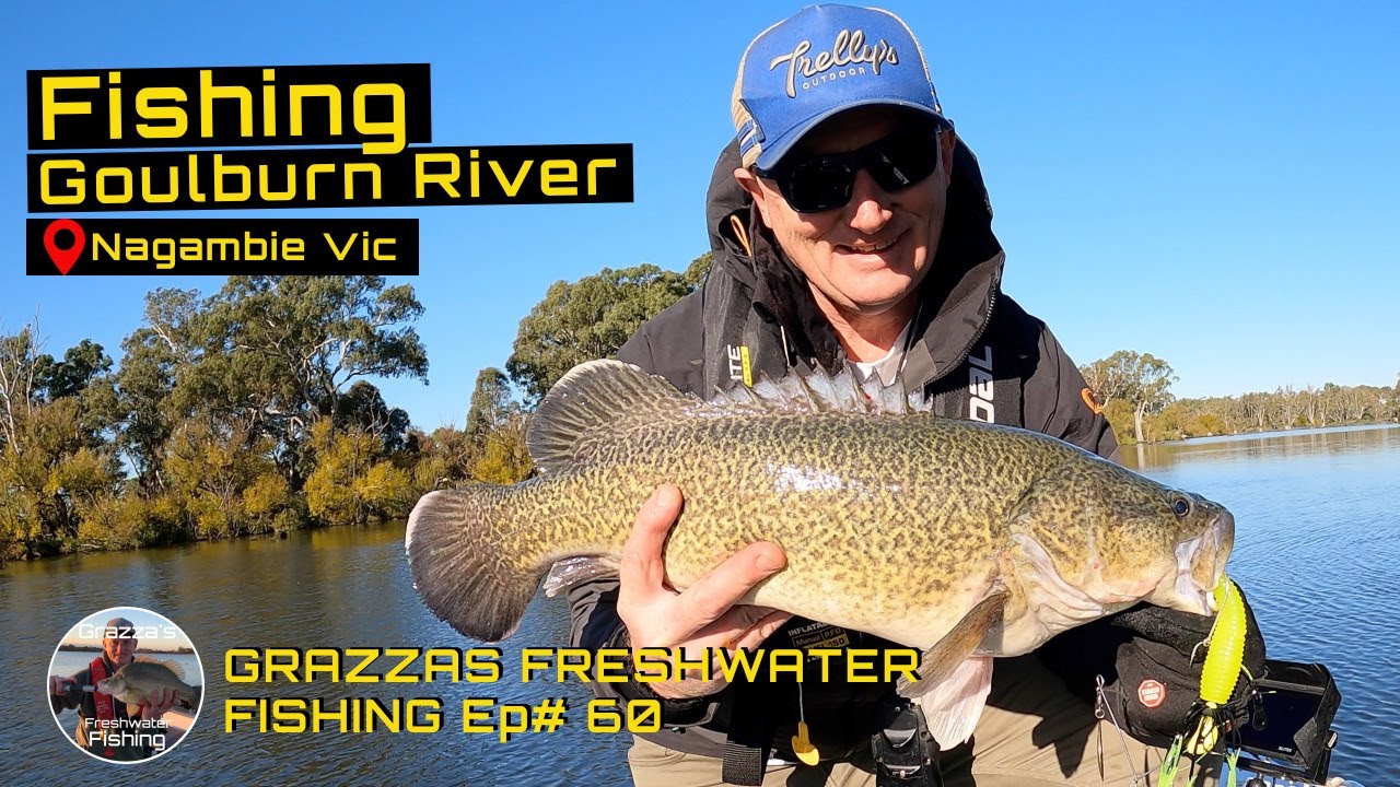 Murray Cod Fishing Goulburn River Nagambie Grazza Freshwater Fishing