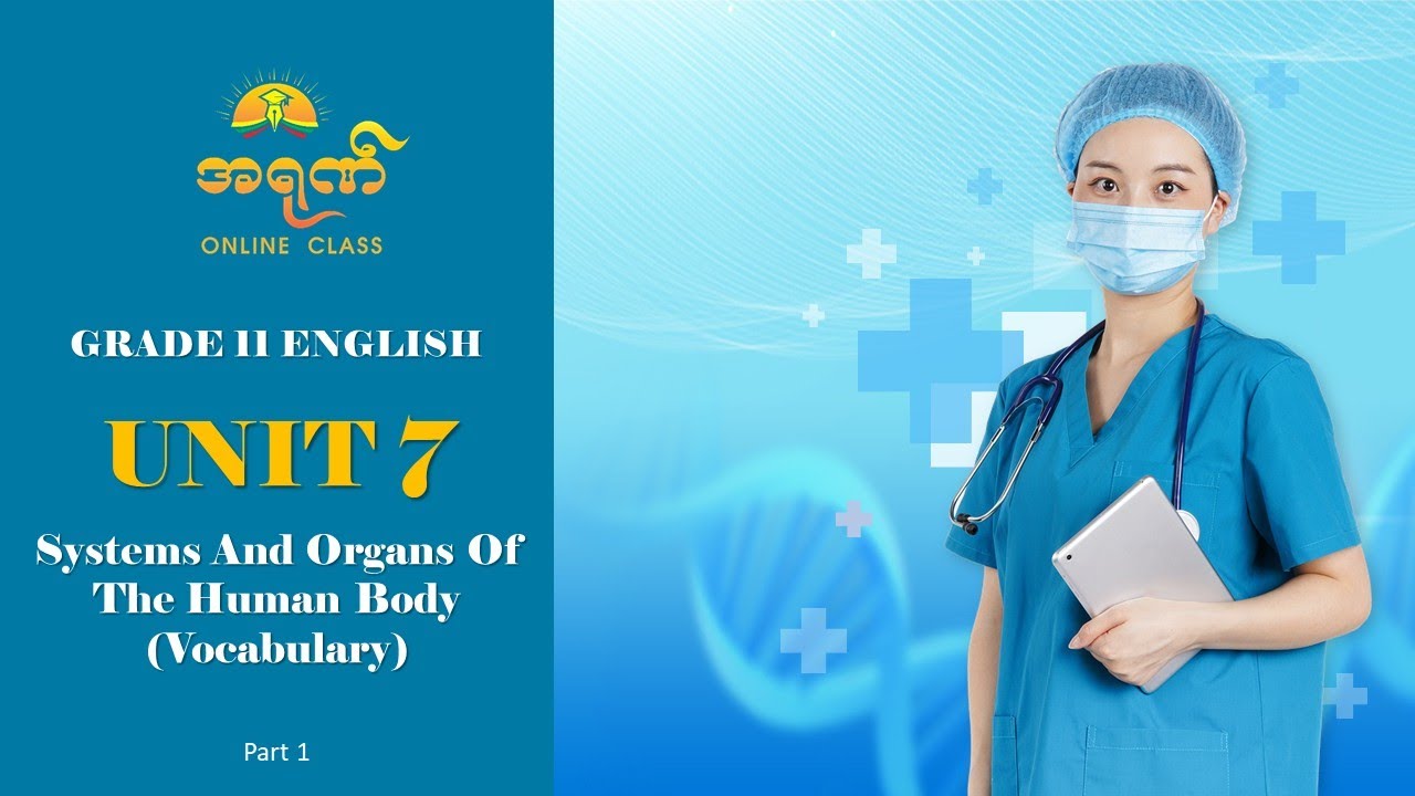 Unit 7  Vocabulary - Homonyms