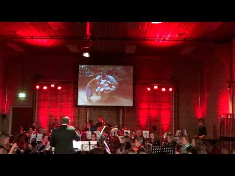 Viva Musica Hagestein voorjaarsconcert 2015 efteling 3