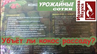 Самое главное правило подготовки КОКОСА к посеву семян и посадке рассады.