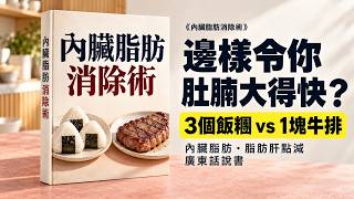【粵語·廣東話】3個飯糰 vs 1塊牛排，邊樣令你肚腩大得快？內臟脂肪、脂肪肝點減｜《內臟脂肪消除術》