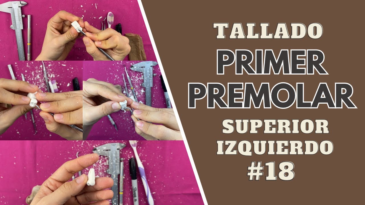 Tallado en cera de primer premolar superior izquierdo | Odontologia Con Cri