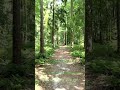 10 sec of anti-stress #short