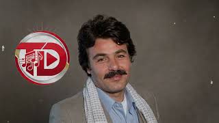 Ferdi Tayfur-Muhtaç Etme-Yüksek Kalite Enstrümantal