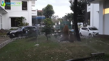 Tưới cỏ tự động sân vườn Biệt thự Thảo Điền Quận 2 #tuoicotudong #tuoitudong