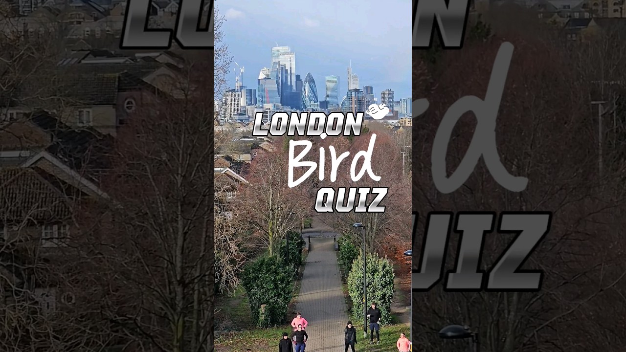 How well do you know your London Birds?! 🐦🏙Let me know how you get on! 