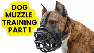 Teach Your Dog to Wear a Muzzle (Muzzle Training Part 1) Muzzle March Muzzle Training Your Dog Part 1
