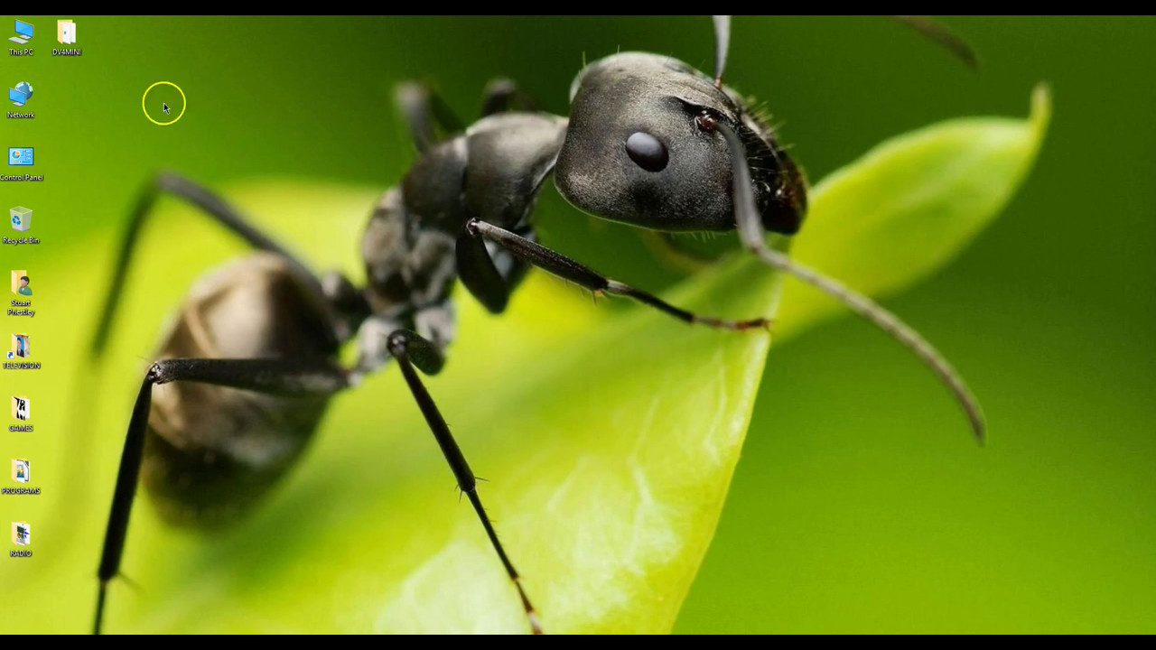 dv4mini setup on windows 10 machine