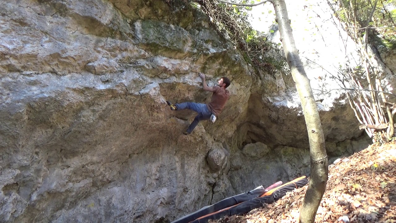 Propeller Blume 7A Dornegg Basler Jura