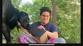 September Super Chewer BarkBox for guide dog