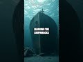 Voyage of the Velvet Deep Explorer