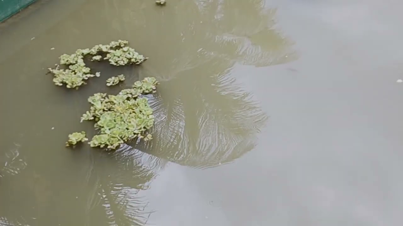 Gapan Adventures thank you sa sponsor