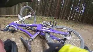 MOV 0206