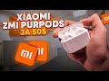 ✅ Xiaomi ZMI PurPods! Лучшие беспроводные наушники за 50$! AirPods от Xiaomi c магией на борту!