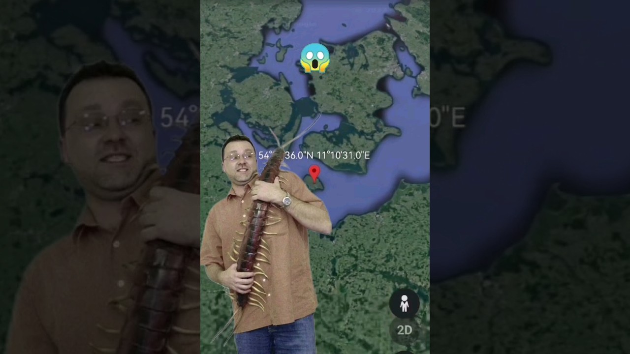 Huge centipede😱on Google Earth 