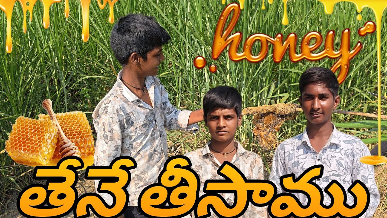 Wild Honey Hunting Using Smoke - Super Taste 🔥🔥 Telugu💪 BANNE SHIVA VLOGS 💯