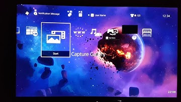 End of the World (but Flowbird is back) Dynamic Theme Ps4 Design