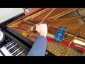 Priorities for regular fine tuning of a Steinway model B - Roberts Pianos