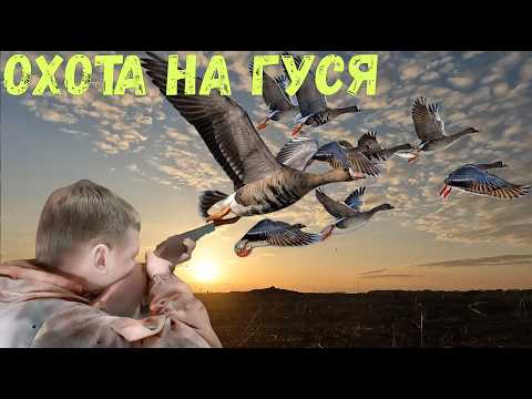 Охота на гуся/Потрясающая гусиная охота на разливах в эпицентре событий/