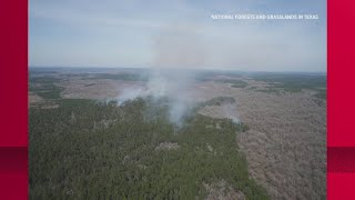 Boggy Wilderness fire burns 500 acres