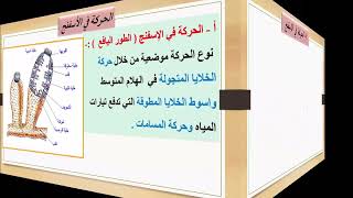 أحياء | الدعامة والحركة في الحيوانات | ثاني ثانوي - علمي