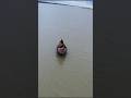 নৌকার অসাধারণ ড্রোন ভিডিও। #shortvideo #dronevideo #নৌকা #easyvlogbyriaz #drone