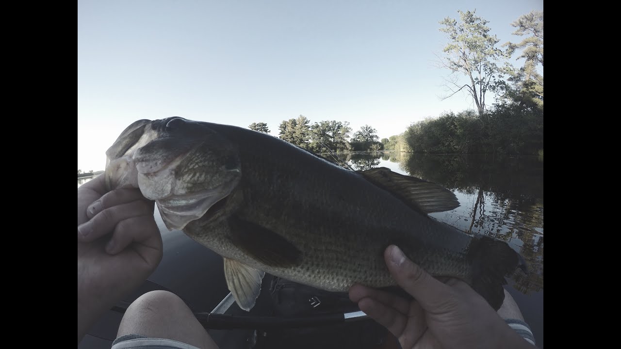 Bass fishing on the Wisconsin River Lake Wausau YouTube