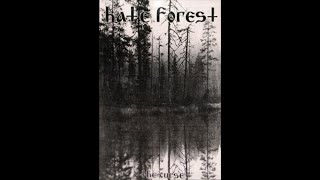 Hate Forest - Black Forest
