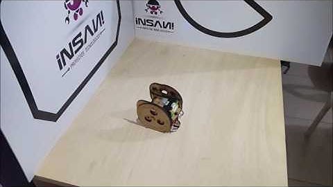 Robot Educativo Kingman