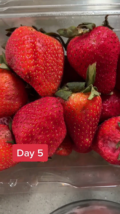 How to Store Strawberries Properly #shorts