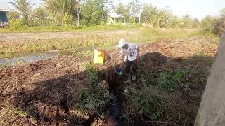 Semprot Rumput Dilahan Baru