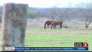 Officials use new technology to hopefully solve 30 year Archer cold case