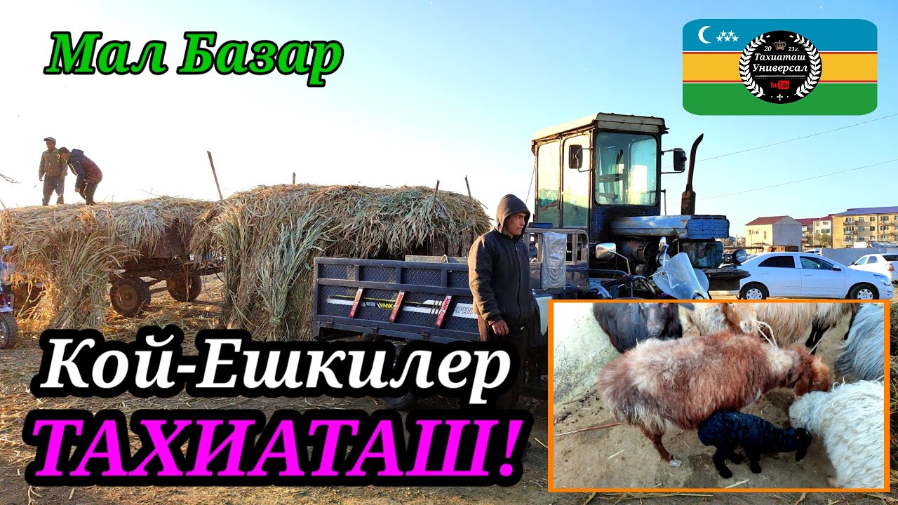 МАЛ БАЗАР 🐐 СКОТНЫЙ РЫНОК 30.03.25ж.#тахиаташ#каракалпакистан#бахалары#цены#кой#кошкар#ешки#серке