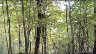 Marking the Mason-Dixon Line