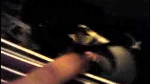 Alcoholic Rat -- Sent from my T-Mobile Sidekick®