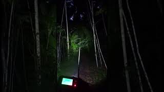 The Signal Reacted Before Anything Was Visible