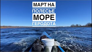 Март на Полесье. Беларусь. Сплавы по разливам Припяти. Vlog 10.