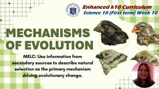 Science 10 Term 1 Week 10