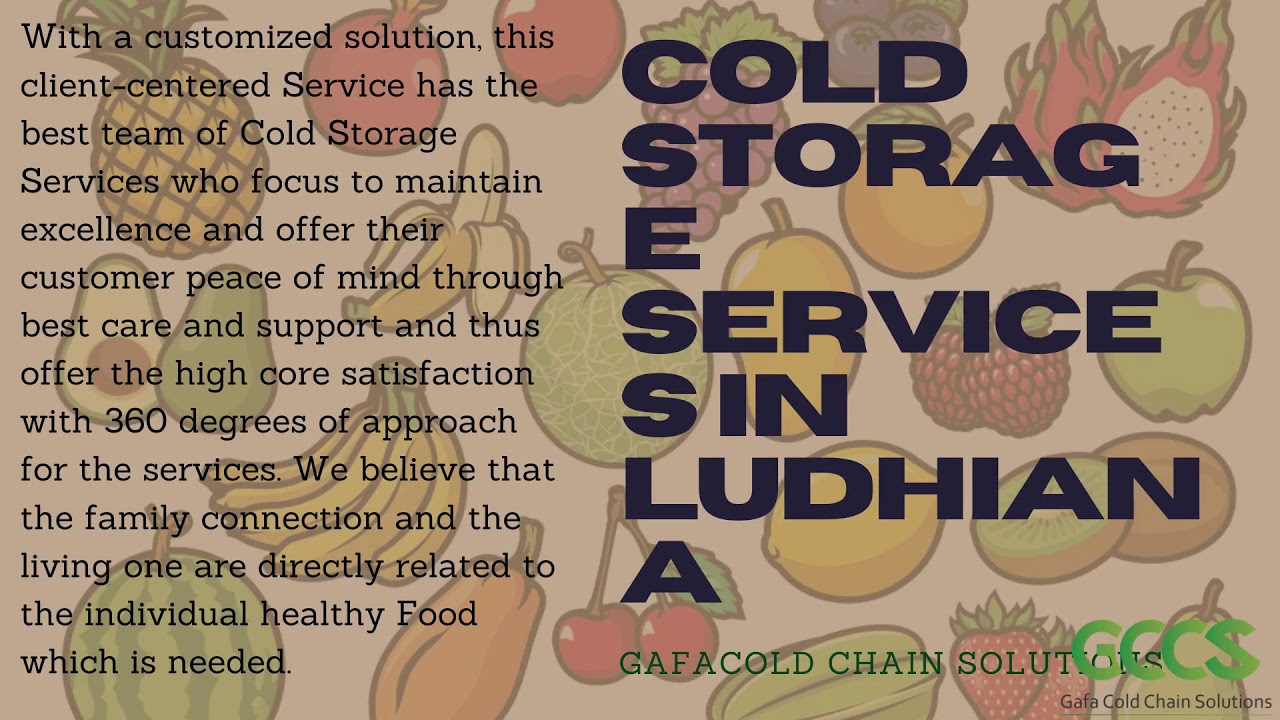 The Secret of Vegetable store in Ludhiana That No One is Talking About